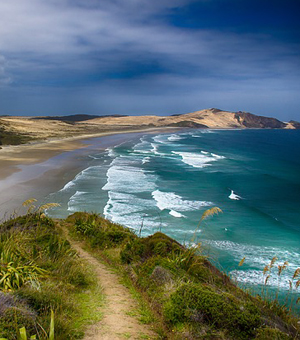 免费下载的电话轰炸机在线网页版